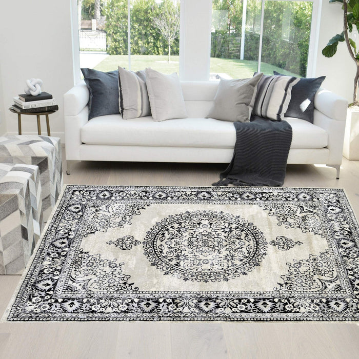 HR Traditional Rug for Living Room Antiqued Oriental Boho Décor